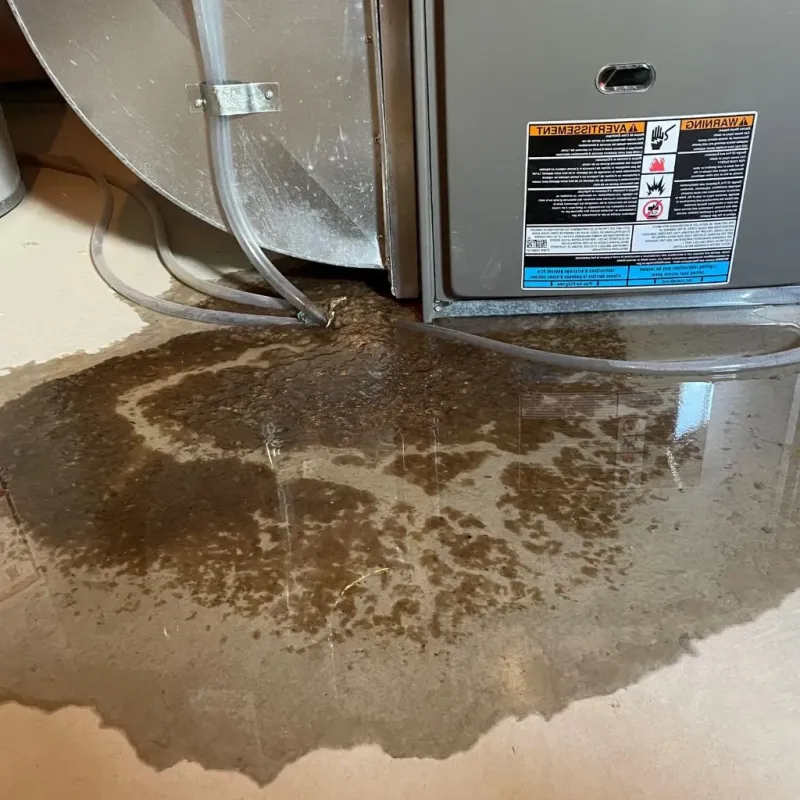 Pipe Burst and Leak Restoration in Quail Valley, CA